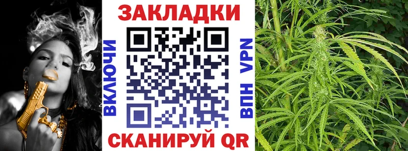 Где купить Чадан Марихуана  СК  Гашиш  МЕФ 