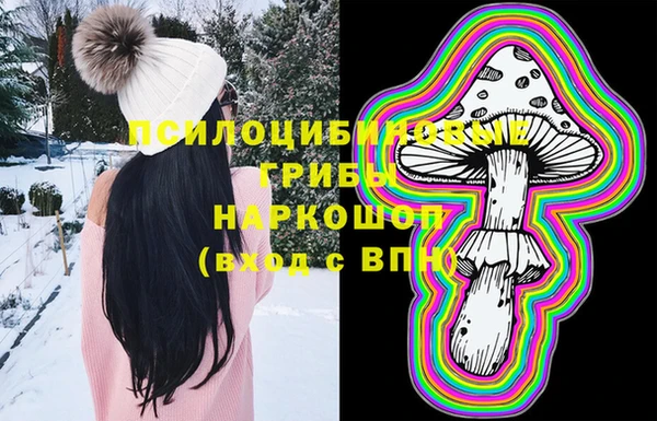 соль ск Липки