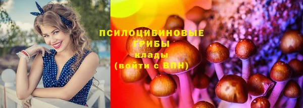 соль ск Липки