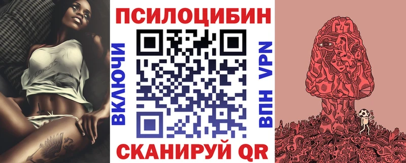 Псилоцибиновые грибы мицелий  купить наркотики сайты  Чадан 